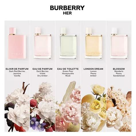 burberry london body wash|burberry her fragrance.